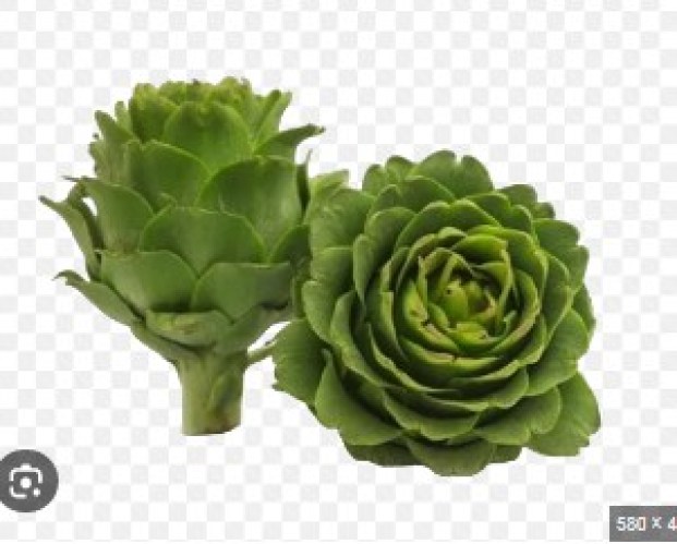 alcachofas españolas